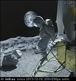 #Funny  #Shit [Funny] Shit! GIF (Image de album My r/FUNNY favs))