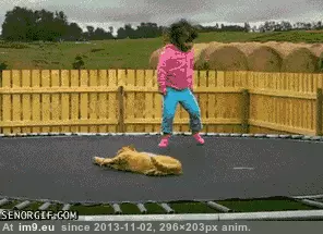#Funny #Fuck #Difficult #Not #Give [Funny] Sometimes it's difficult to not give a fuck. GIF (Image of album My r/FUNNY favs))