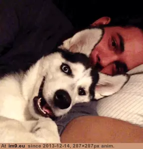 #Funny #Staahp #Stahp [Funny] STAHP...No, seriously STAAHP. GIF (Obraz z album My r/FUNNY favs))