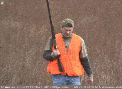 #Gifs #Funny #Favorite #All #One #Time [Funny] still one of my favorite gifs of all time. GIF (Image de album My r/FUNNY favs))