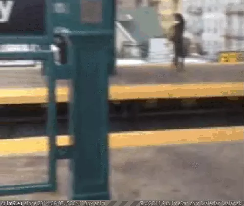 #Funny #Subway #Door [Funny] subway door GIF (Bild von album My r/FUNNY favs))