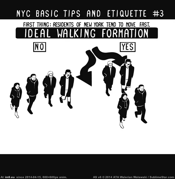 #Funny #Year #Real #Born #Shelves #Book #Nyc #Pages [Funny] Thank you, Reddit. The NYC book born on Reddit last year is on real shelves today. Here are 27 pages that made the book  GIF (Imagen de album My r/FUNNY favs))