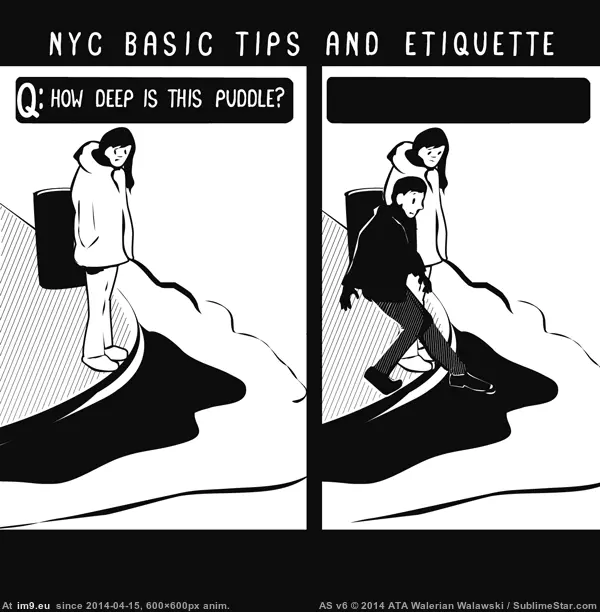 #Funny #Year #Real #Born #Shelves #Book #Nyc #Pages [Funny] Thank you, Reddit. The NYC book born on Reddit last year is on real shelves today. Here are 27 pages that made the book  GIF (Изображение из альбом My r/FUNNY favs))