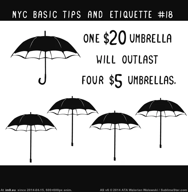 #Funny #Year #Real #Born #Shelves #Book #Nyc #Pages [Funny] Thank you, Reddit. The NYC book born on Reddit last year is on real shelves today. Here are 27 pages that made the book  GIF (Изображение из альбом My r/FUNNY favs))