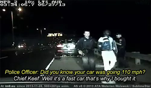 #Funny #Why #Bought [Funny] that's why I bought it. GIF (Image de album My r/FUNNY favs))