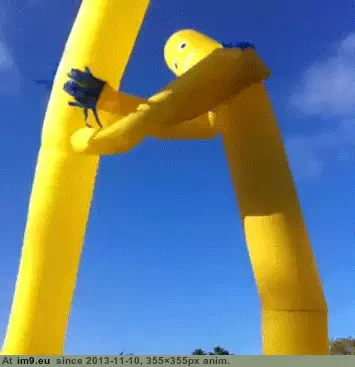 #Funny  #Battle [Funny] The battle GIF (Obraz z album My r/FUNNY favs))