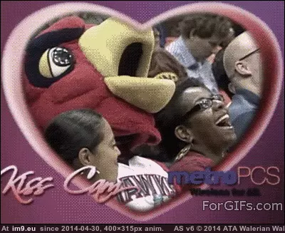 #Funny #Kiss #Cam [Funny] The best kiss-cam GIF (Image of album My r/FUNNY favs))