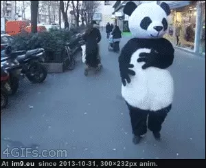 #Funny #Force #Strong [Funny] The force is strong. GIF (Obraz z album My r/FUNNY favs))