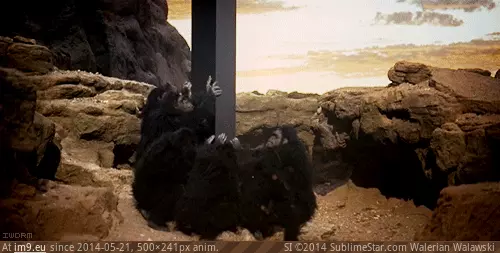 #Funny #Guys #Hardware #Brand #Server [Funny] The hardware guys with a brand new server GIF (Image de album My r/FUNNY favs))