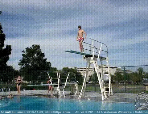 #Funny #Graceful #Dive [Funny] The most graceful dive. GIF (Image de album My r/FUNNY favs))