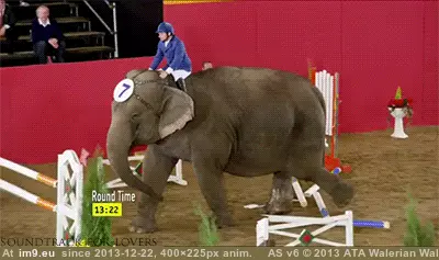 #Funny #Fucks #Nimble #Rounds #Elephant #Hurdle [Funny] The nimble no-fucks-given elephant rounds the last hurdle. GIF (Image of album My r/FUNNY favs))