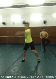 #Funny #Can #One [Funny] There can be only one GIF (Imagen de album My r/FUNNY favs))