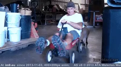 #Funny #Rollin #See [Funny] They see me rollin'... GIF (Image of album My r/FUNNY favs))