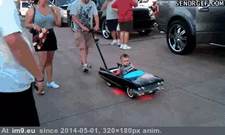 #Funny #Hating #Strolling [Funny] They see me strolling..They hating.. GIF (Image of album My r/FUNNY favs))
