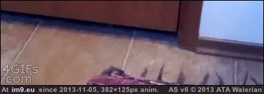 #Funny  #Thief [Funny] Thief. GIF (Изображение из альбом My r/FUNNY favs))
