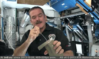 #Funny #Space #Hadfield #Showed #Chris [Funny] Things Chris Hadfield showed us about Space 3 GIF (Obraz z album My r/FUNNY favs))
