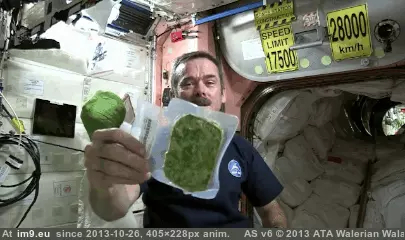 #Funny #Space #Hadfield #Showed #Chris [Funny] Things Chris Hadfield showed us about Space 5 GIF (Obraz z album My r/FUNNY favs))