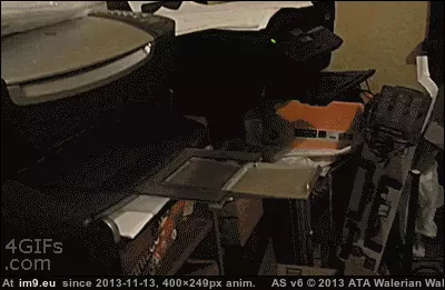 #Funny #Fax #Cat [Funny] This cat really needs to send this fax GIF (Bild von album My r/FUNNY favs))