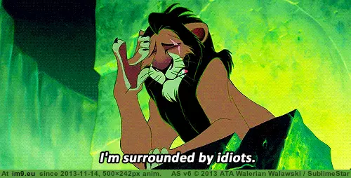 #Funny #Life #Anymore #Accurate #Describing #Not #College [Funny] This could not be anymore accurate at describing college life.. 14 GIF (Image de album My r/FUNNY favs))