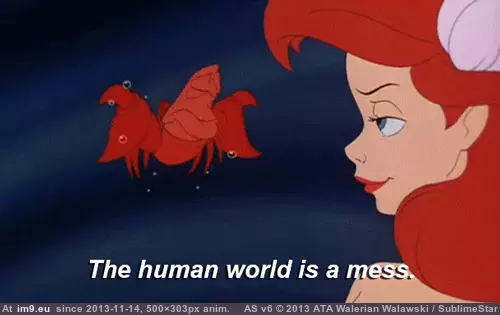 #Funny #Life #Anymore #Accurate #Describing #Not #College [Funny] This could not be anymore accurate at describing college life.. 2 GIF (Image of album My r/FUNNY favs))