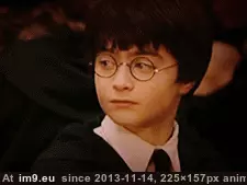 #Funny #Life #Anymore #Accurate #Describing #Not #College [Funny] This could not be anymore accurate at describing college life.. 8 GIF (Imagen de album My r/FUNNY favs))