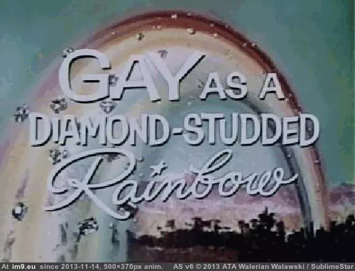 #Funny #Life #Anymore #Accurate #Describing #Not #College [Funny] This could not be anymore accurate at describing college life.. 9 GIF (Image of album My r/FUNNY favs))