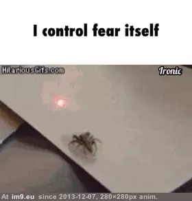 #Funny  #Great [Funny] This is great... GIF (Image de album My r/FUNNY favs))