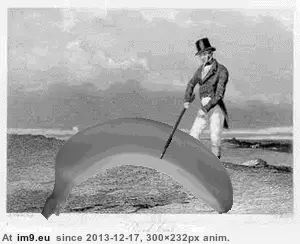 #Funny #How #Front #Get #Page [Funny] This is how I get to the front page, right? GIF (Image de album My r/FUNNY favs))