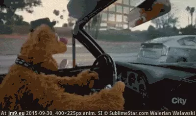 #Funny #Watching #Joke #Show [Funny] This joke from the new Muppets show is why everyone should be watching it. GIF (Obraz z album My r/FUNNY favs))