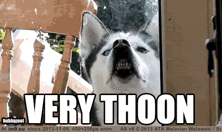 #Funny  #Thoon [Funny] Thoon GIF (Imagen de album My r/FUNNY favs))