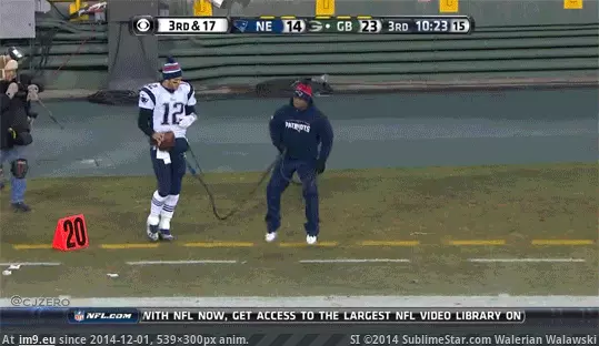#Funny #Tom #Brady #Walk [Funny] Tom Brady out for a walk GIF (Imagen de album My r/FUNNY favs))