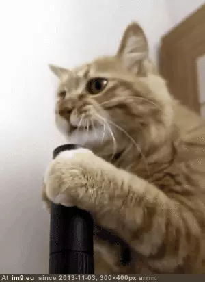 #Funny  #Wait [Funny] Wait what does this do? GIF (Image of album My r/FUNNY favs))