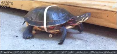 #Funny #Improve #Fuckingwithnature #Technology [Funny] We can improve him. We have the technology. [X-post -r-FuckingWithNature] GIF (Imagen de album My r/FUNNY favs))