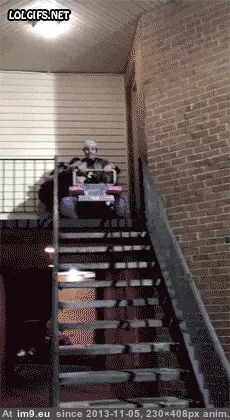 #Funny #Possibly #Wrong [Funny] What could POSSIBLY go wrong? GIF (Bild von album My r/FUNNY favs))