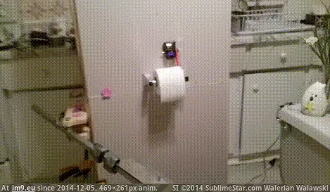 #Funny #Possibly #Wrong [Funny] What could possibly go wrong? GIF (Image of album My r/FUNNY favs))