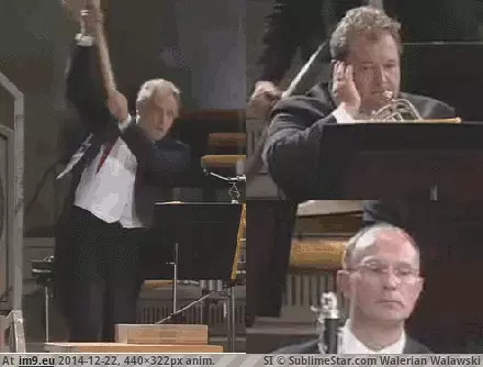 #Funny #Play #Hammer #Fucking [Funny] What do you play? The clarinet, you? I PLAY THE FUCKING HAMMER. GIF (Image de album My r/FUNNY favs))