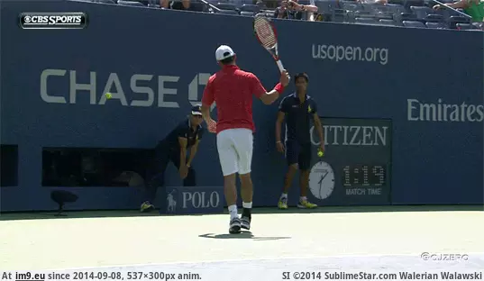 #Funny #Player #Tennis #Takes [Funny] What it takes to be a tennis player GIF (Imagen de album My r/FUNNY favs))