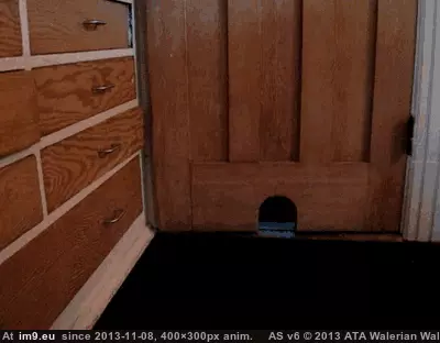 #Funny #Ahh #Guess [Funny] What the... Ahh, guess I'll just go around. GIF (Imagen de album My r/FUNNY favs))