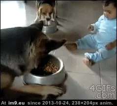 #Funny #Food #Share [Funny] When my gf wants me to share food with her. GIF (Bild von album My r/FUNNY favs))
