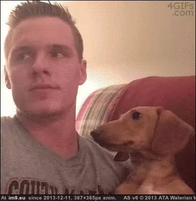 #Funny #Caught #Staring #You [Funny] When you're caught staring GIF (Obraz z album My r/FUNNY favs))