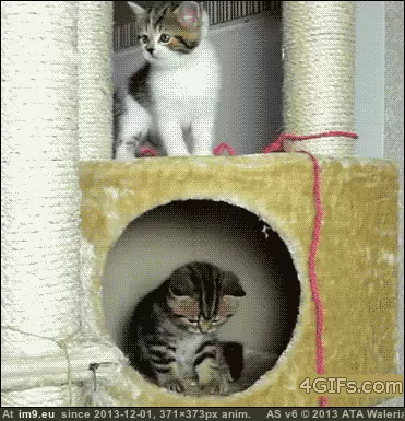 #Funny #Not #Paying #Attention #Stairs [Funny] Whenever I'm not paying attention going down the stairs. GIF (Imagen de album My r/FUNNY favs))