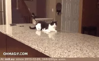 #Funny #You #Kicks #Are #Acid [Funny] where are you when the acid kicks in? GIF (Image of album My r/FUNNY favs))