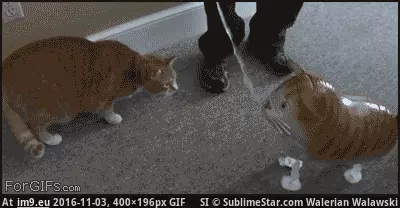 #Funny #Float #Throne #Lies [Funny] You float on a throne of lies GIF (Image of album My r/FUNNY favs))
