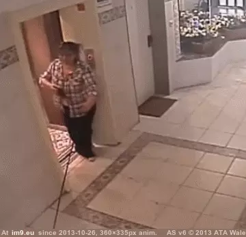 #Funny #Eggs #Dog [Funny] Your dog! My Eggs! GIF (Imagen de album My r/FUNNY favs))
