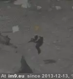 #Gaming #Hump #Stomp #Battlefield [Gaming] [Battlefield 4] Stomp Stomp Stomp Stomp Hump Hump Hump Hump... (Battlefield_4) GIF (Image of album My r/GAMING favs))