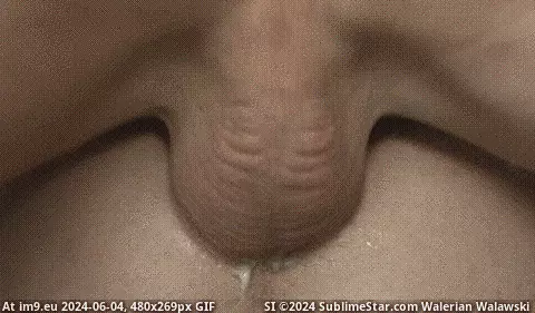 #Porn #Animated #Xxx #Anal #Sex #Cum #Buttfucking #Gay #Bareback #Faggot #Gayanalgif #Barebackgif [Gay Anal GIF] BareBack Anal SEX 57 (Raw ButtFucking - XXX porn) GIF (Image of album Gay BareBack Anal)