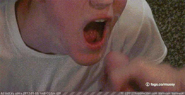 #Hardcore #Cum #Bitchboy #Eats #Gay #Oral #Faggot [Gay GIF] Faggot BitchBoy Eats Cum (Gay Oral Hardcore) GIF (Image de album Gay Porn)
