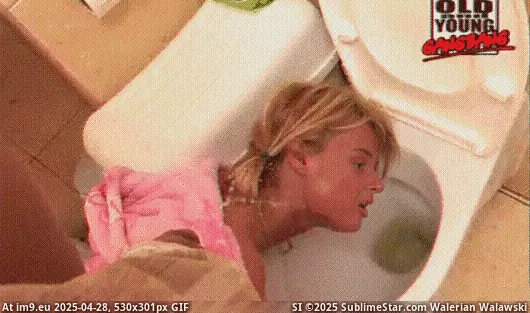 in Porn Gifs animated XXX [GIF] Hardcore Porn Animated GIF 44 (cunt, pussy, slut) GIF (Bild von album Porn Gifs animated XXX)