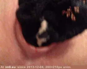 #Meowww  #Mothafucka [Gonewild] MEOWWW MOTHAFUCKA! (f) 9 GIF (Image of album My r/GONEWILD favs))