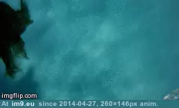  #Periscope [Gonewild] My [F]irst GIF: Up Periscope 5 GIF (Bild von album My r/GONEWILD favs))